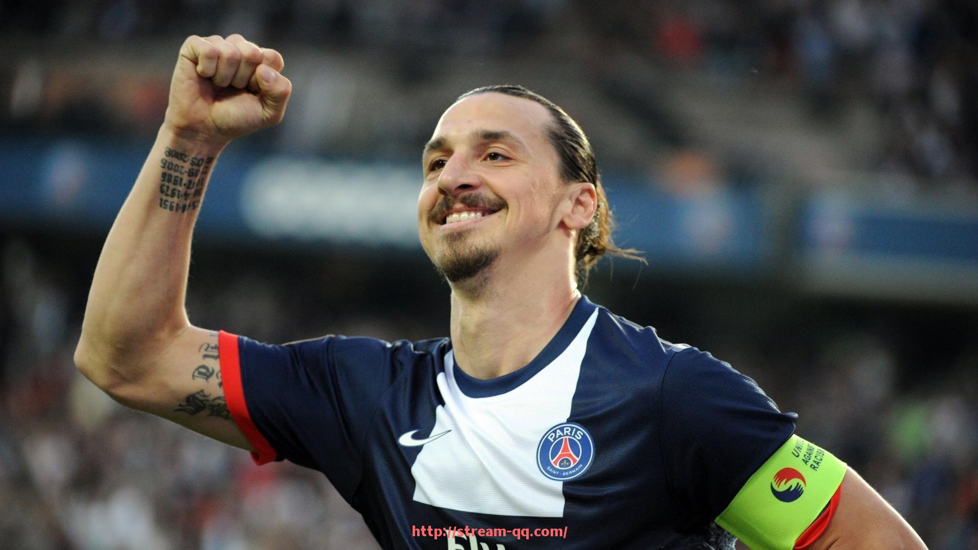 企鹅直播-威尔士健身器材的详细介绍与使用建议