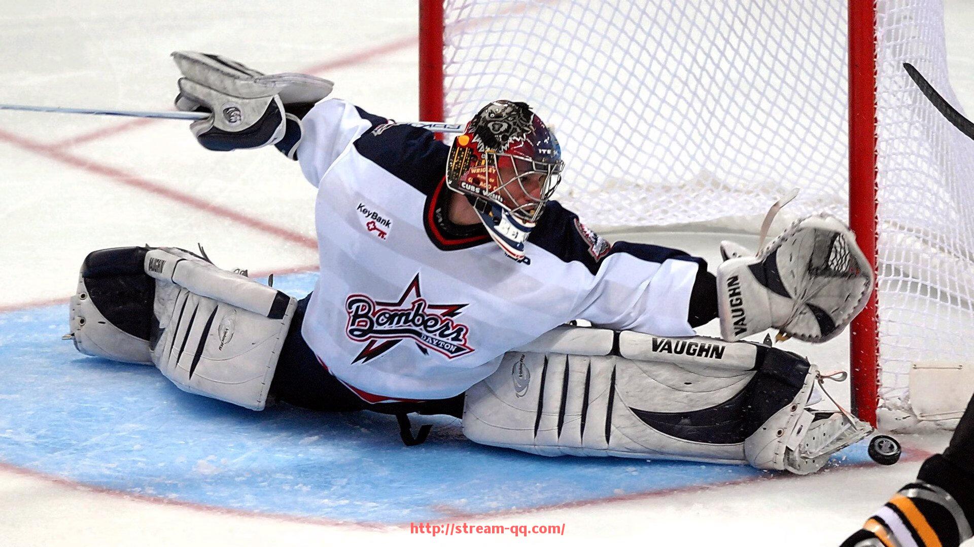 企鹅直播-火箭队历史最长连胜纪录与背后关键球员贡献